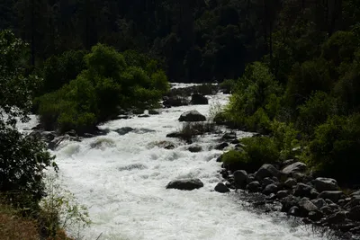 DSC_2238 (Large).JPG